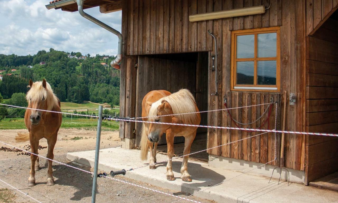 Ferienwohnung Dichtl Grafenau  Eksteriør billede